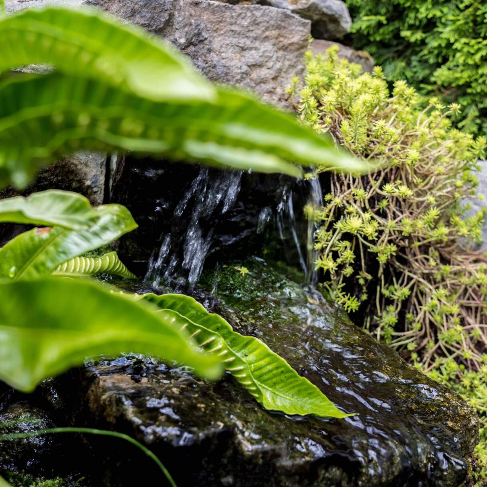 wasser-im-garten-landschaftsbau